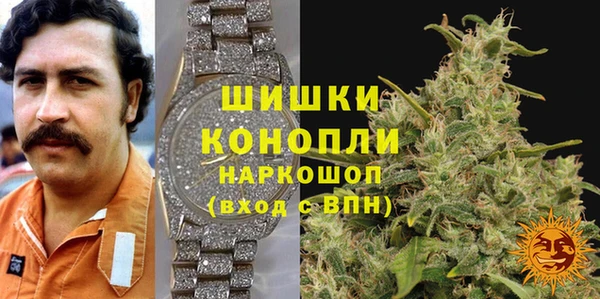 мдпв Володарск