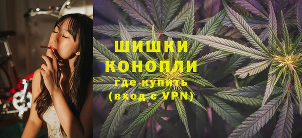 мдпв Володарск