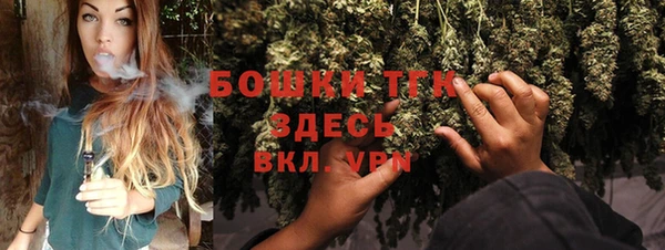 мдпв Володарск